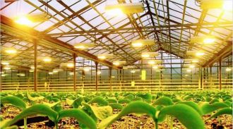 Types of lighting fixtures for the greenhouse