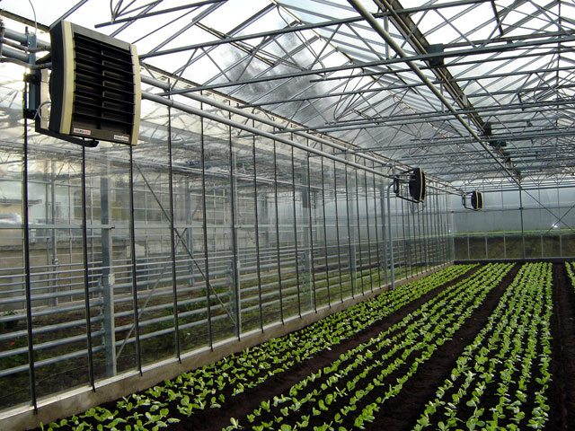 Heating Your Greenhouse