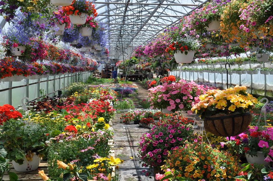 Profiting from your greenhouse