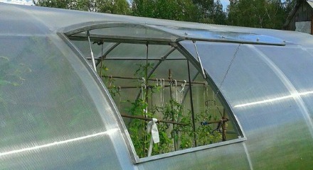 How Greenhouse Accessories Benefit Plants