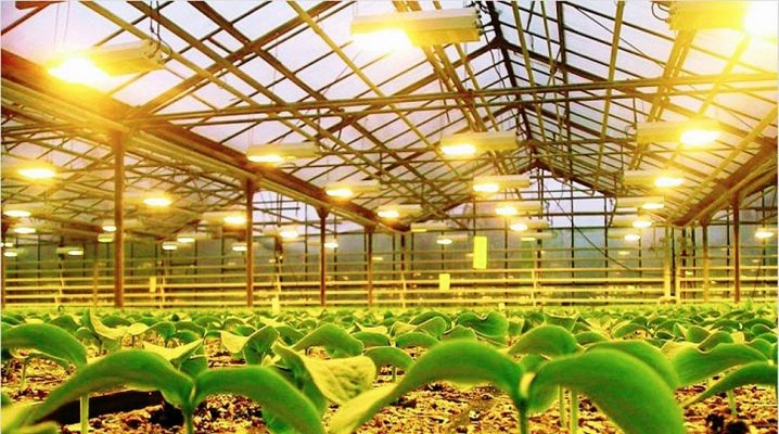 Types of lighting fixtures for the greenhouse
