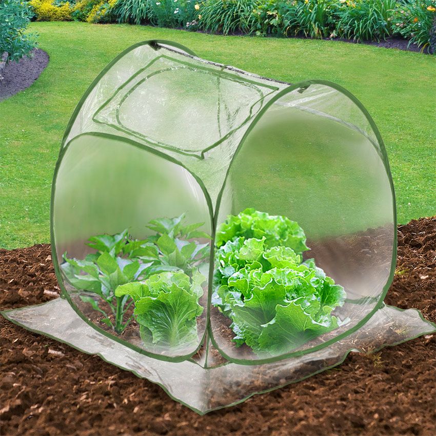 Is Using A Portable Greenhouse Practical?