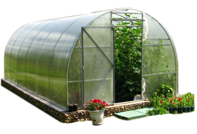 Practical Steps On How To Build A Greenhouse