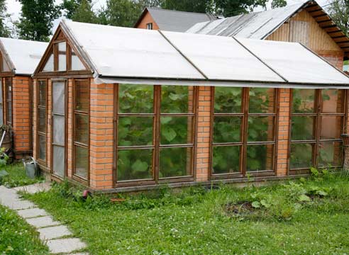 Useful Tips On Building A Greenhouse