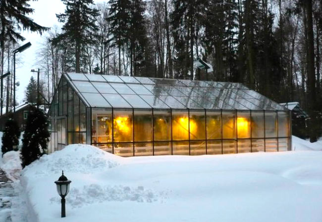 Winter greenhouse gardening