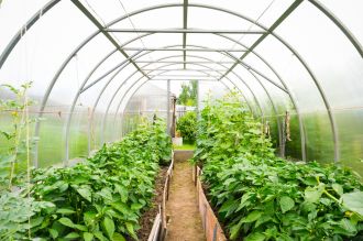 How Greenhouses Work