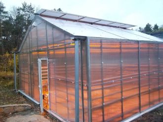 Practical Steps On How To Build A Greenhouse