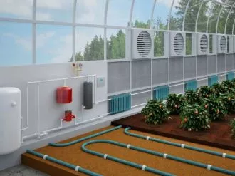 How Greenhouse Accessories Benefit Plants